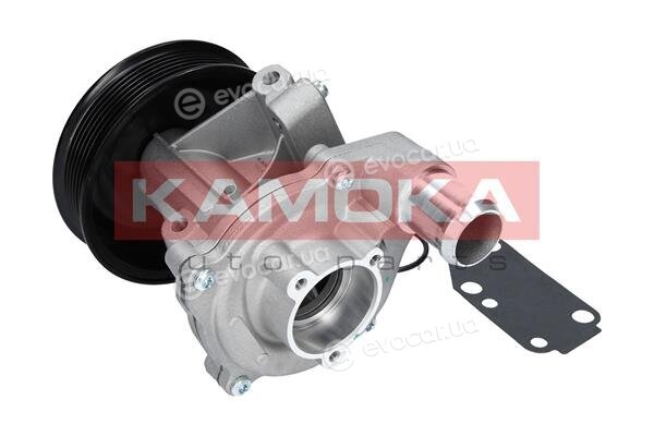Kamoka T0142