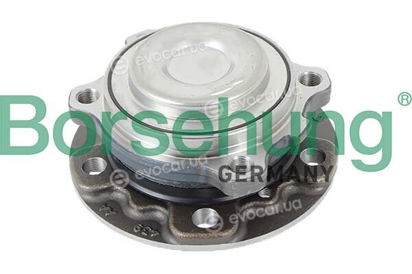 Borsehung B11711