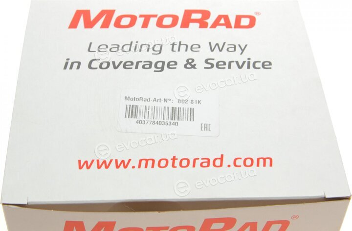 Motorad 802-81K