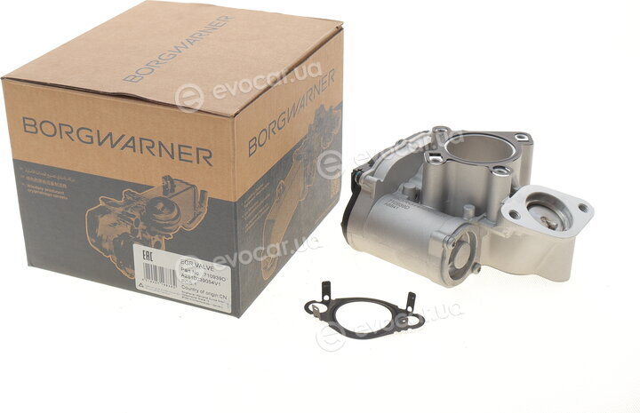 BorgWarner 710939D