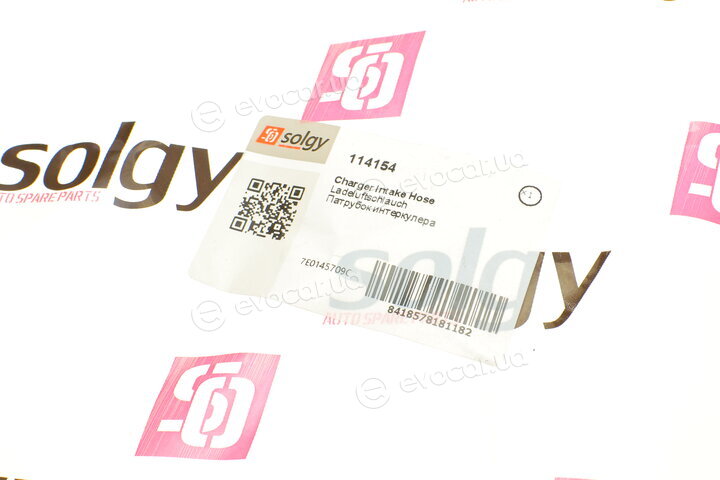 Solgy 114154