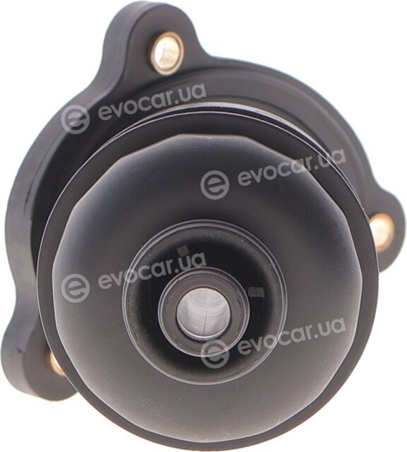 Hengst EG924H D465