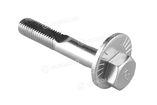 Tedgum TED55072