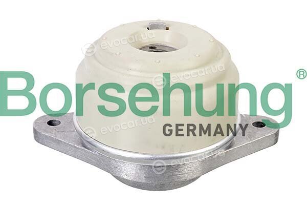 Borsehung B12651