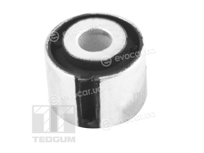 Tedgum TED10693