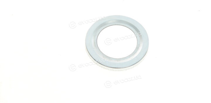 Magneti Marelli 301191619960