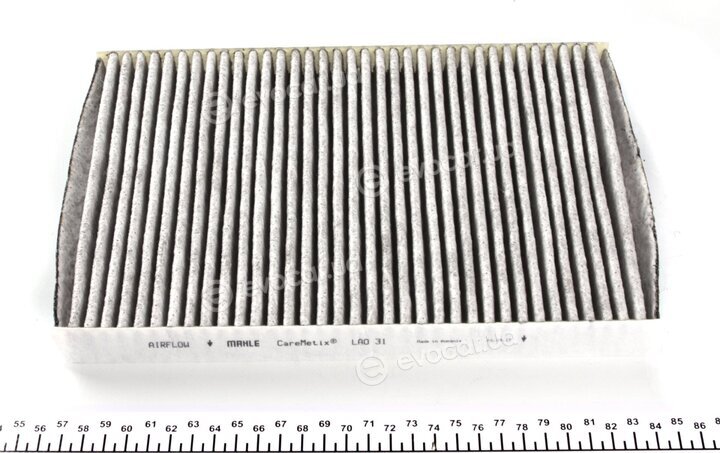 Mahle LAO 31