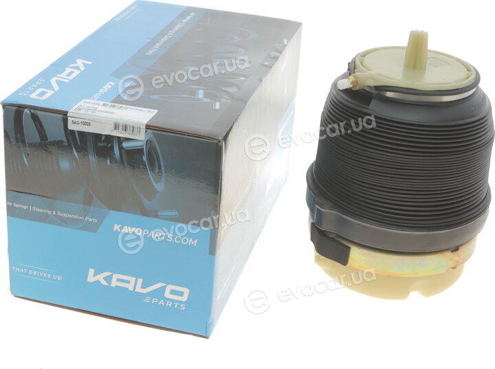 Kavo SAS-10009