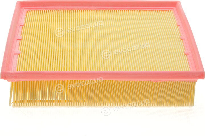 Solgy 103095
