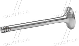 Gunes 0239