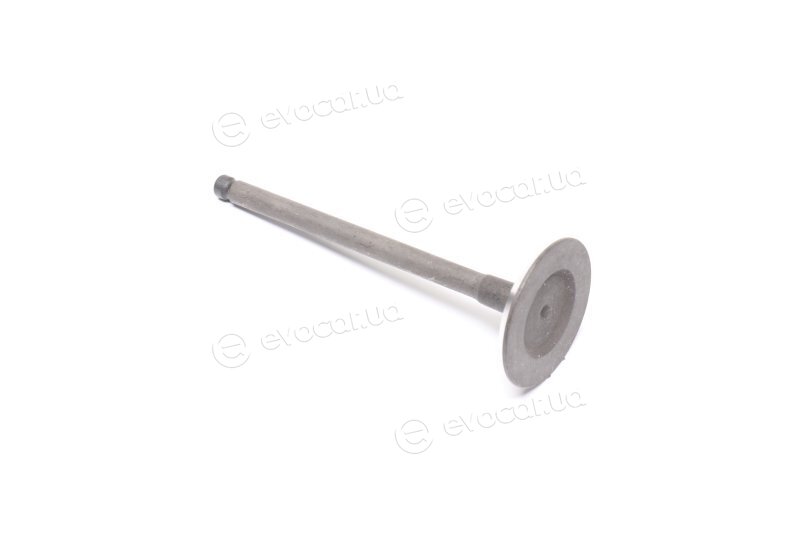 Freccia R6599/SNT