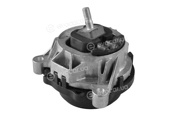 Tedgum TED37322