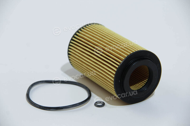 Mahle OX 153D1