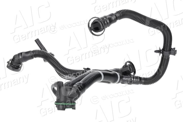 AIC 56881