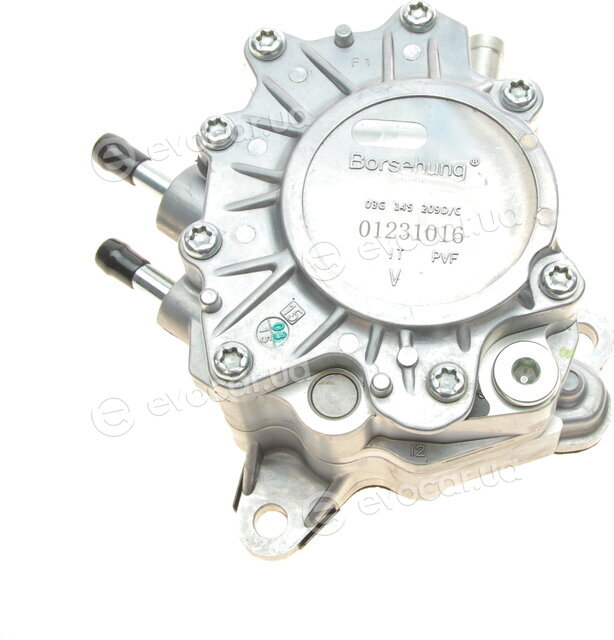 Borsehung B17906