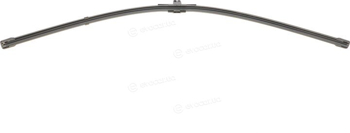 SWF 119436