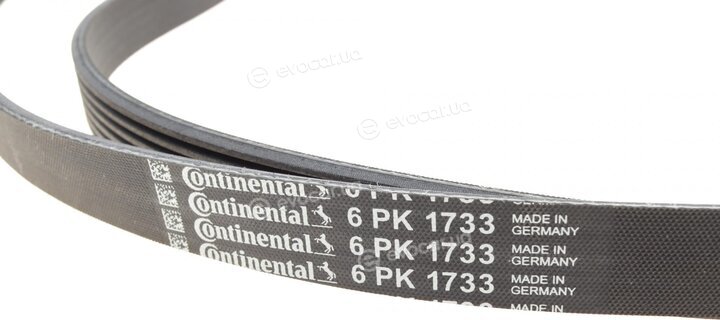 Continental 6PK1733WP3