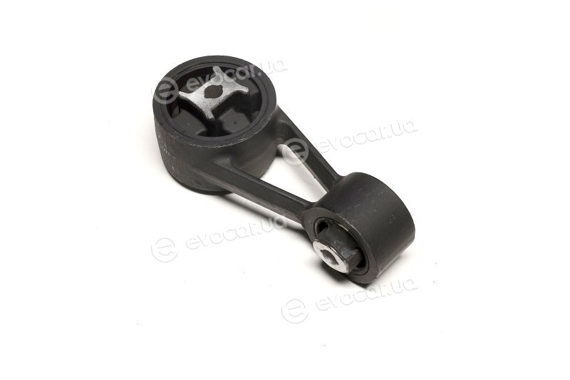 Sasic 8061691