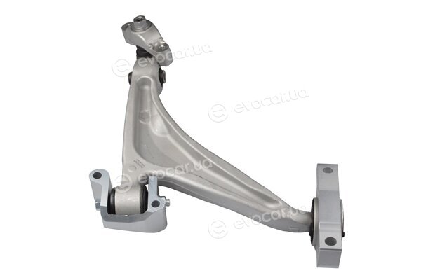 Tedgum TED60293