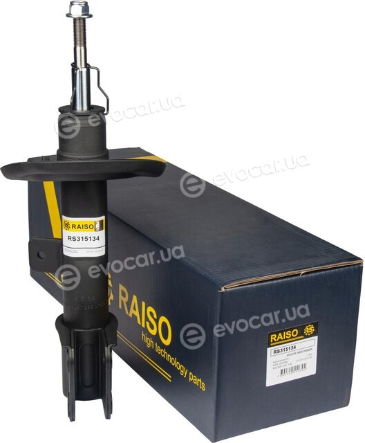 Raiso RS315134