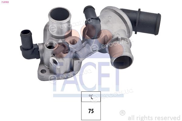 Facet 7.8193