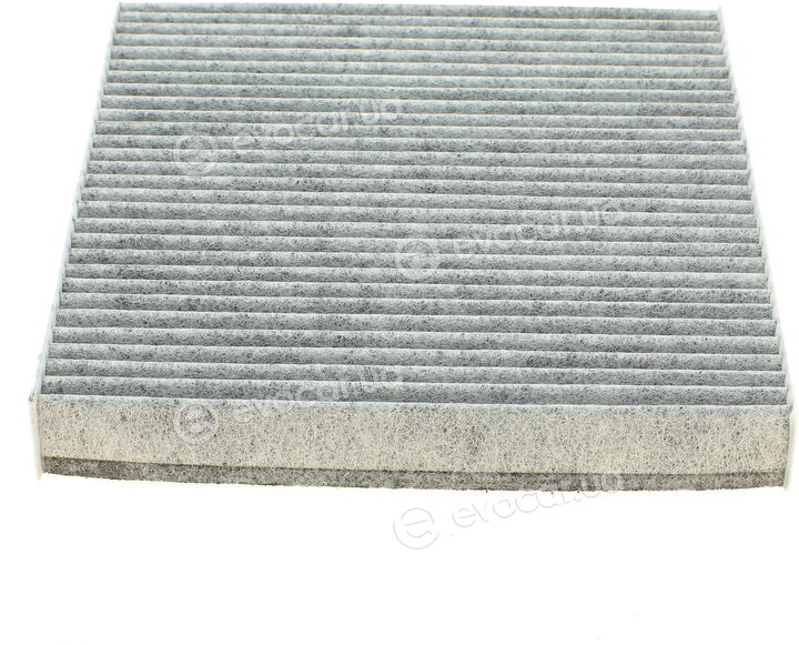 Blue Print ADL142516