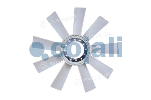 Cojali 7037106