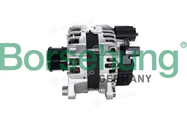 Borsehung B12913