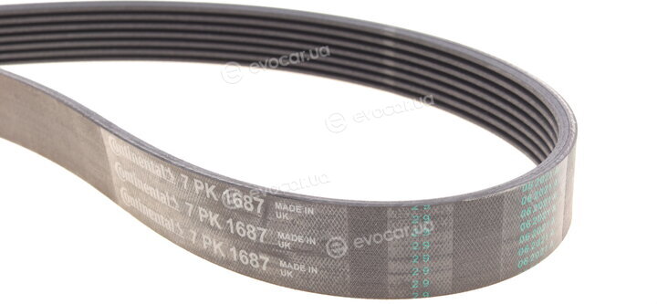 Continental 7PK1687