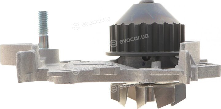 Dayco KTBWP2591