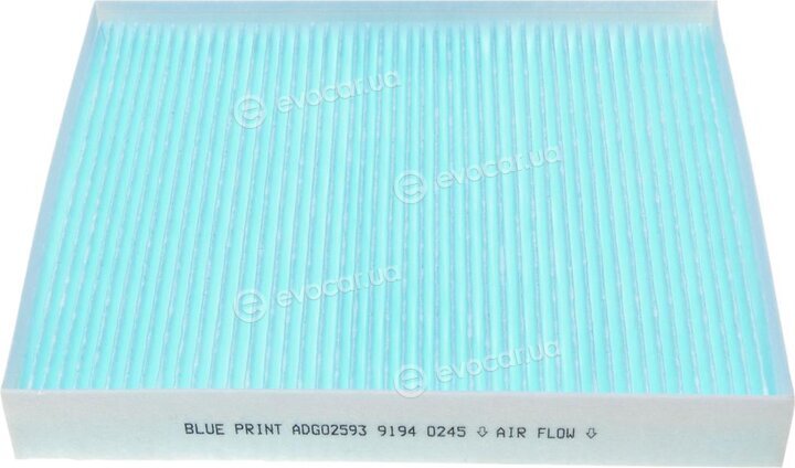 Blue Print ADG02593