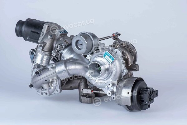 BorgWarner 10009930102