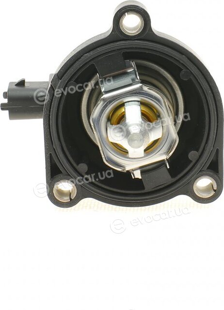 Mahle TM 37 80