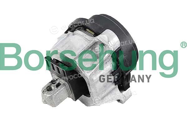 Borsehung B12613