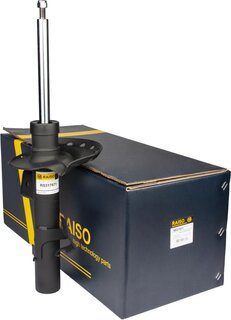 Raiso RS317671