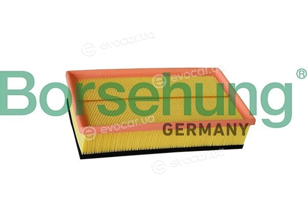 Borsehung B12218