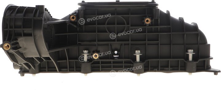 AIC 55925