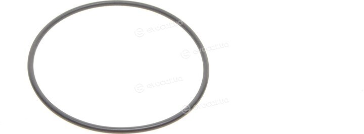 Continental CT874WP2