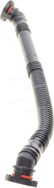 AIC 54546
