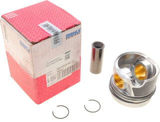 Mahle 028 PI 00116 000