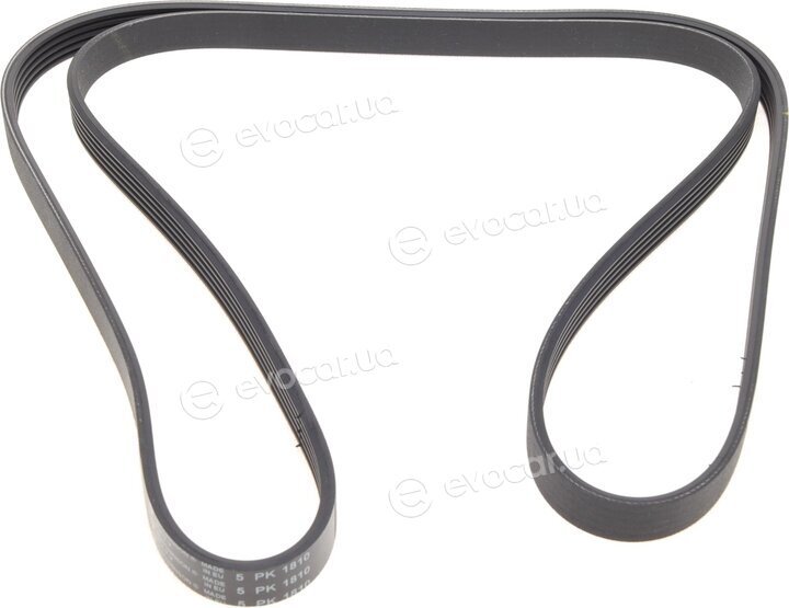 Hutchinson 1810 K 5