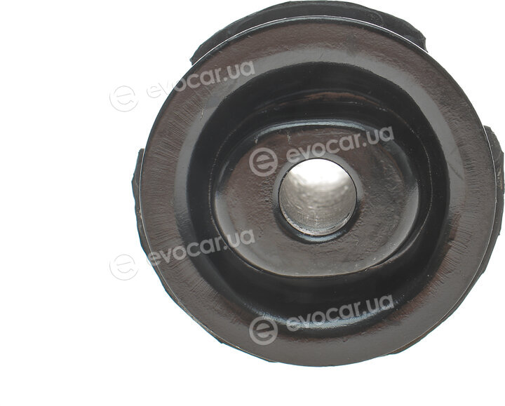 GSP 510481