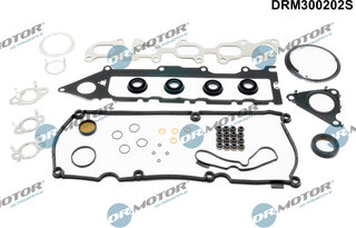 Dr. Motor DRM300202S