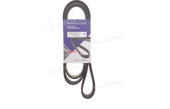 Hutchinson 1718 K 7