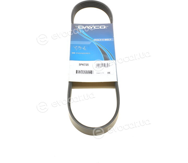 Dayco 5PK725