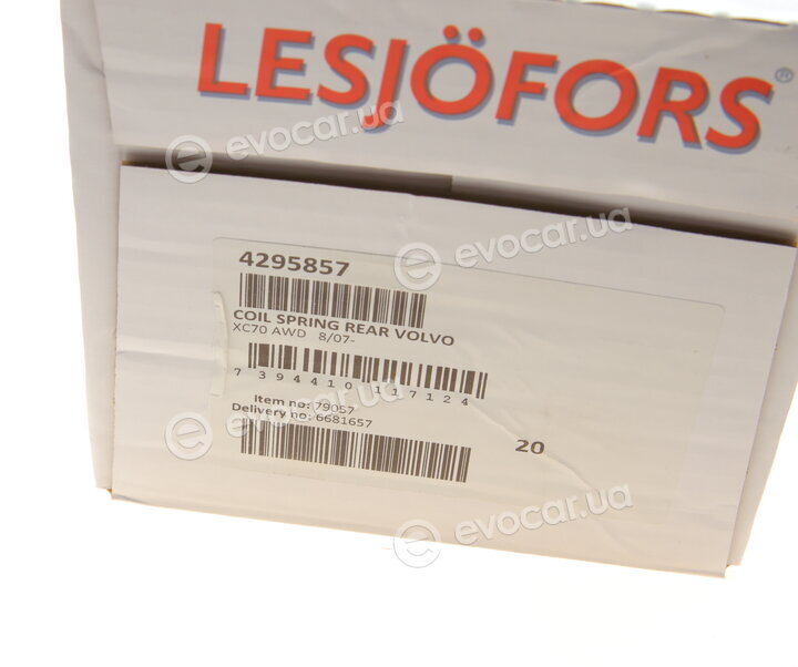 Lesjofors 4295857