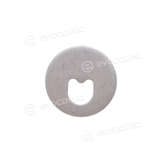 Solgy 204183