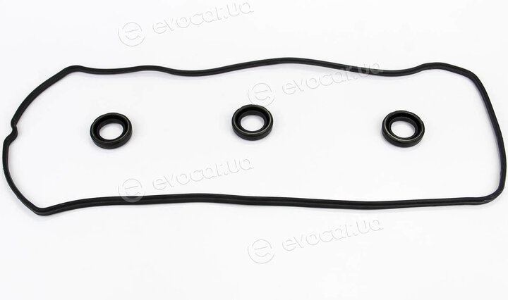 Elring 507.580