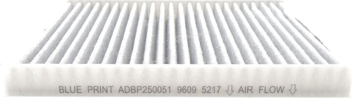 Blue Print ADBP250051