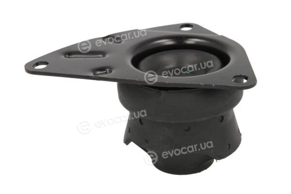 Reinhoch RH11-0026